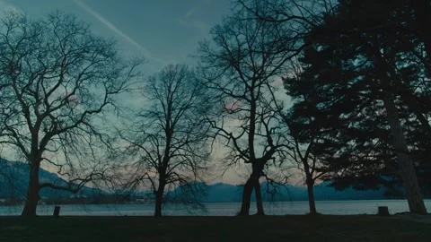 Trees Silhouettes by Lac du Bourget, Aix-les-Bains Vidéo 284352979