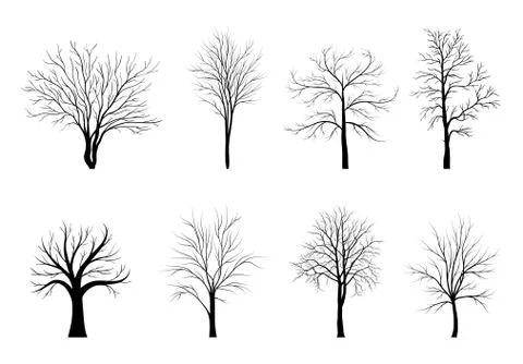 Trees silhouettes set isolated on white background.. Vector illustration Illustrazione stock