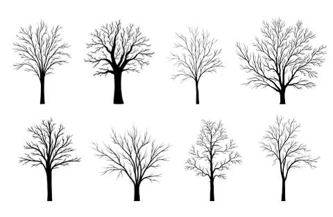 Trees silhouettes set isolated on white background.. Vector illustration Stock Illustration