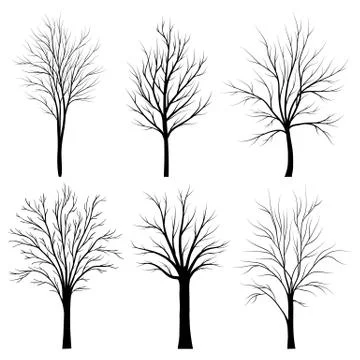 Trees silhouettes set on white background vector Stock Illustration