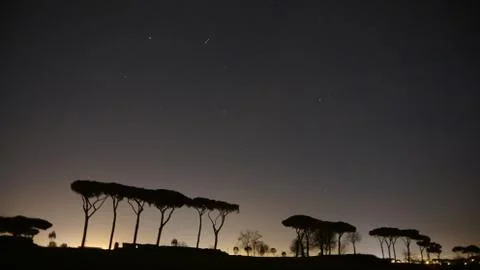 Trees silouette night stars rome Stock Photos