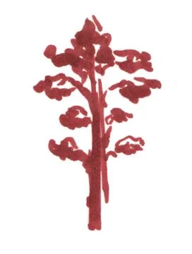 Trees sketch, pine hand drawn markers illustration isolated on white background Stock Illustration