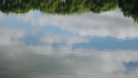 Trees, sky and clouds are reflected on the surface of the water surface Stock Footage 211489173