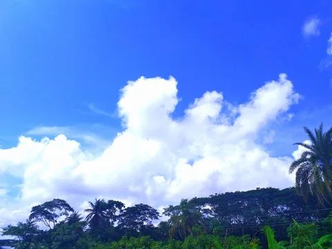 The trees, the sky and the clouds have a natural beauty Stock Photos