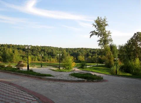 Trees,  sky and clouds Stock Photos