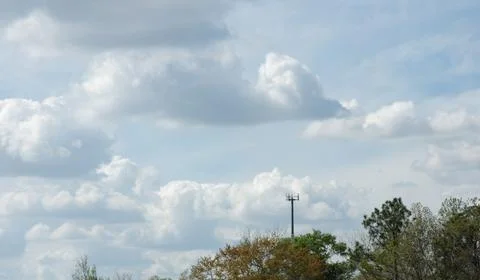 Trees, sky and clouds Stock Photos
