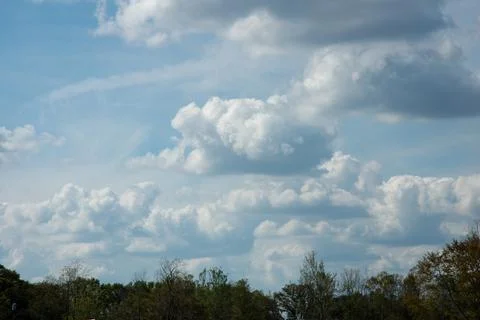 Trees, sky and clouds Stock Photos