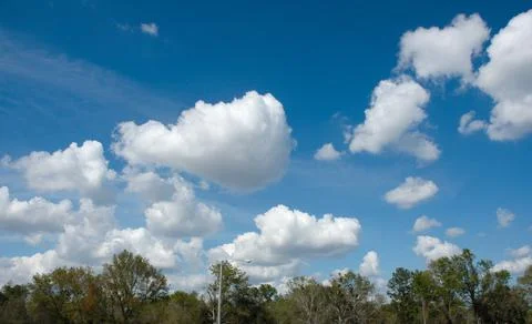 Trees, sky and clouds Stock Photos