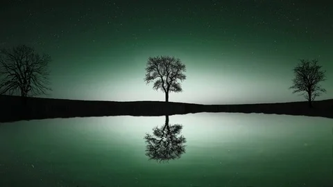 A Trees, Sky and Reflection in the Water 動画素材 102455400