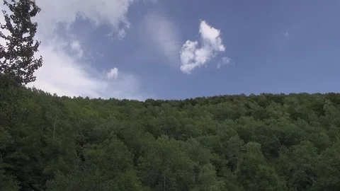 Trees sky clouds forest mountain nature blue brown beauty pines Stock Footage 332649857