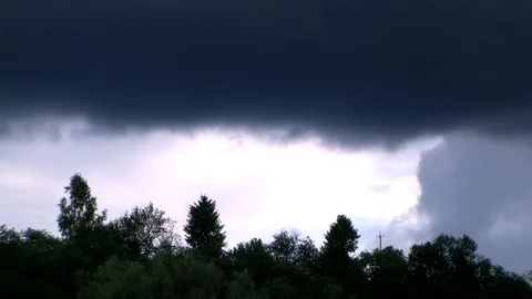 Trees on the  sky Video stock 98969886