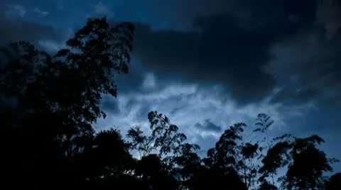 Trees-sky timelapse Stock Footage 8995830