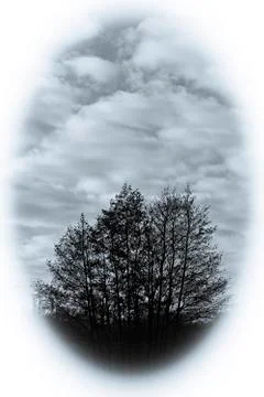 Trees - sky - vignette Stock Photos