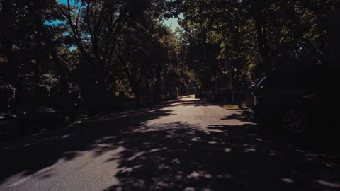 Trees slow motion first person blue sky Stock Footage 274440302