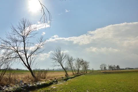 Trees by a small stream among the green spring fields on a sunny day. Stock Photos