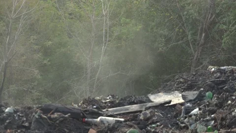 Trees smoke litter fire set fire to landfill town Stock Footage 139474179