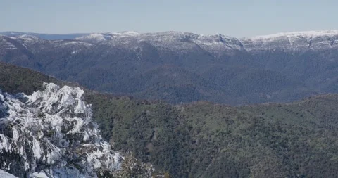 Trees With Snow And Forest, Australian Alps, 8K Stockbeeldmateriaal 332904009