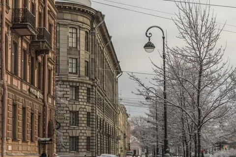 Trees in snow and lanterns in St. Petersburg in winter Stock Photos