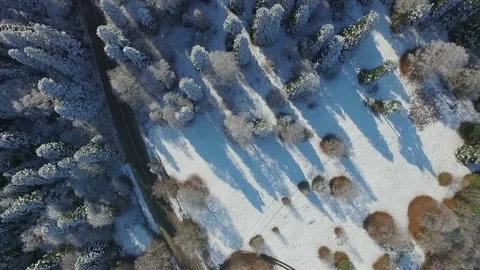 Trees in the snow and a road view from above Stock Footage 172474924