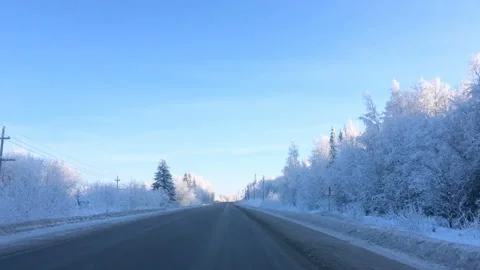 Trees with snow are illuminated by sunlight Video stock 86205262
