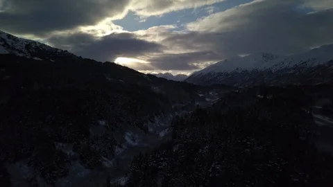 Trees on the snow clad mountain slope at dusk Stock Footage 104528153