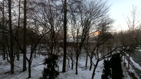 Trees Snow Cloud Timelapse Stock Footage 141874819