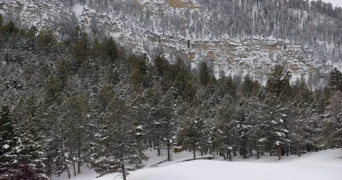 Trees on snow covered mountain slope at Yellowstone National Park Stock Footage 93375369
