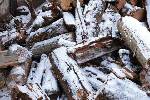 Trees with snow falling on them. Stock Photos