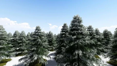 Trees With Snow in Forest, Winter Forest, 3D Rendering, 4k Stock Footage 120392530