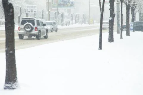 Trees in snow Stock Photos