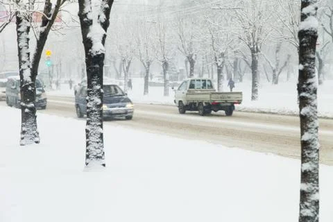 Trees in snow Stock Photos