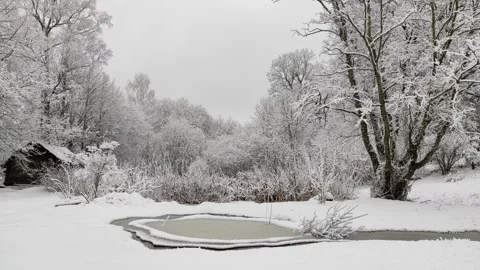Trees in snow, winter (4) Stock Footage 296700967