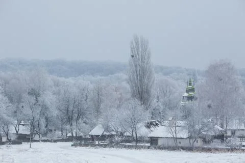 Trees with snow in winter park Stock Photos