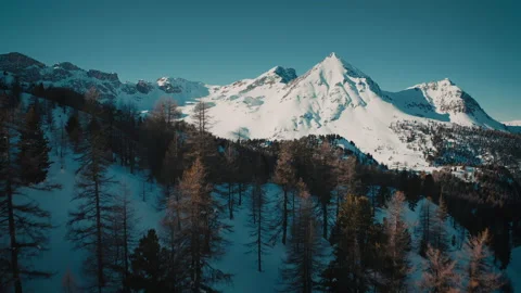 Trees on a snowy hill by the mountains aerial Stock Footage