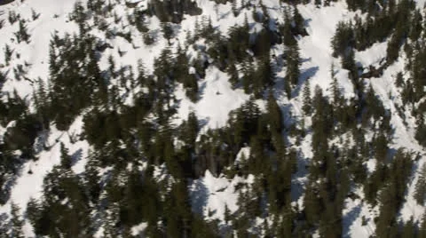 Trees On Snowy Mountainside Stock Footage 23929237