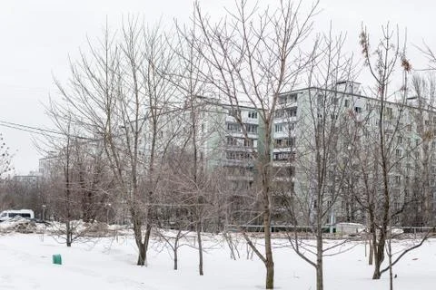 Trees in a snowy yard Stock Photos