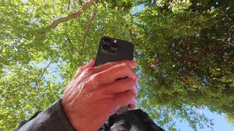  trees spinning behind cell phone Video stock 318938897