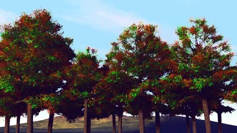 Trees spring to fall final Stock Footage 142319013