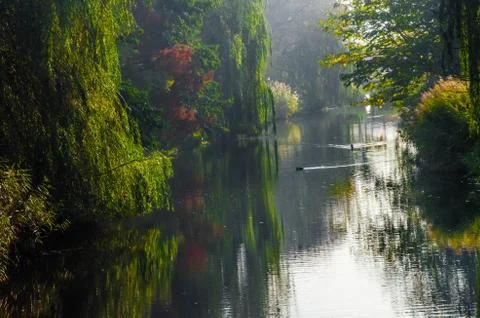 Trees in Spring lined on two sides of a canal showing reflection over the wat Stock Photos