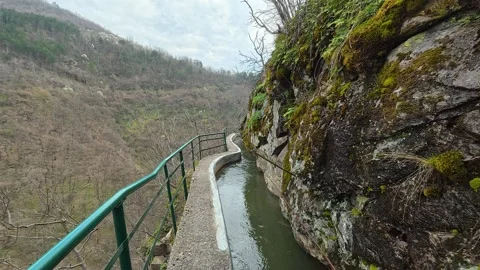 Trees stand bare against cloudy sky above. Vucjanka Canyon, Serbia Видео 332171372