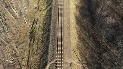 Trees stand without foliage. Transportation Vídeo Stock 127154762