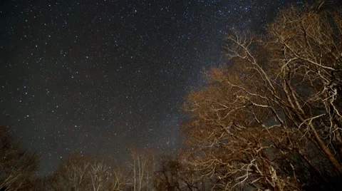 Trees Star Timelapse Stock Footage 10699129