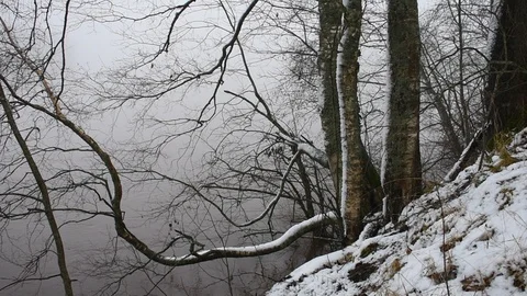 Trees on a steep bank, top view Vidéo 119483070