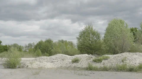 Trees in stormy weather Stock Footage 23226280