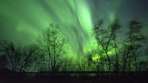 Trees in strong wind with Aurora Stock Footage 250289380