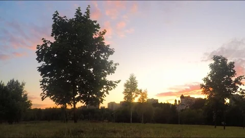 Trees in Summer Park At Sunset Timelapse Stock Footage 78017796