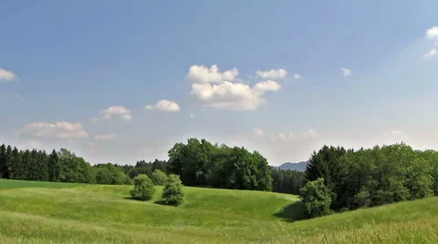 Trees on Sunny Day Stock-Footage 5259890