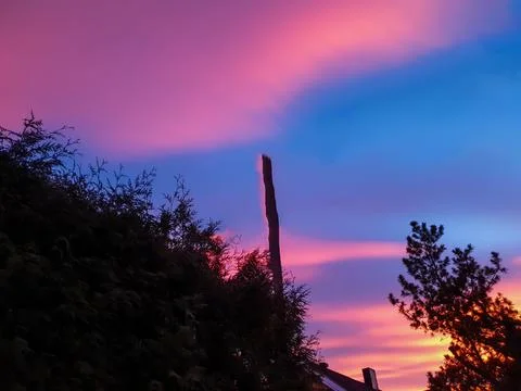 Trees on sunset background - Lilleaker Foto stock