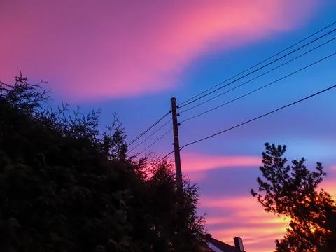 Trees on sunset background - Lilleaker Stock Photos