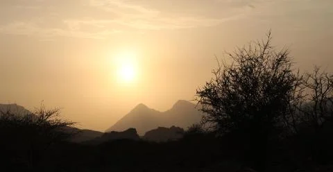  trees with the sunset in Oman mountains Stock Photos
